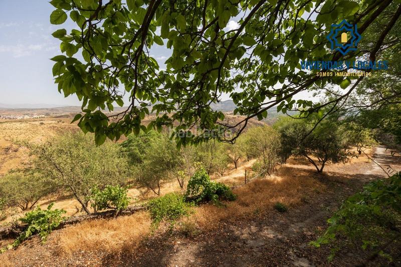 Foto 6395a9bd-bba0-40e9-a3ac-a6db6df6d52d. Mas avec piscine dans Haza Grande Granada