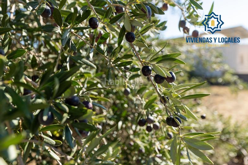 Foto 16a61c71-86e9-494d-a0f1-0dfe9a6b3c55. Terrain résidentiel dans San Francisco - El Chorrillo Gabias (Las)