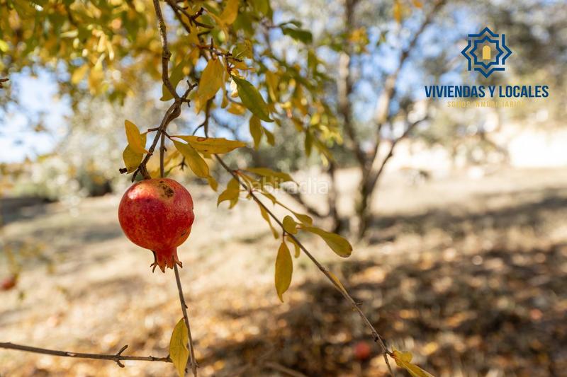 Foto 651834a0-67d3-456c-8d6d-d9c958230c95. Terrain résidentiel dans San Francisco - El Chorrillo Gabias (Las)