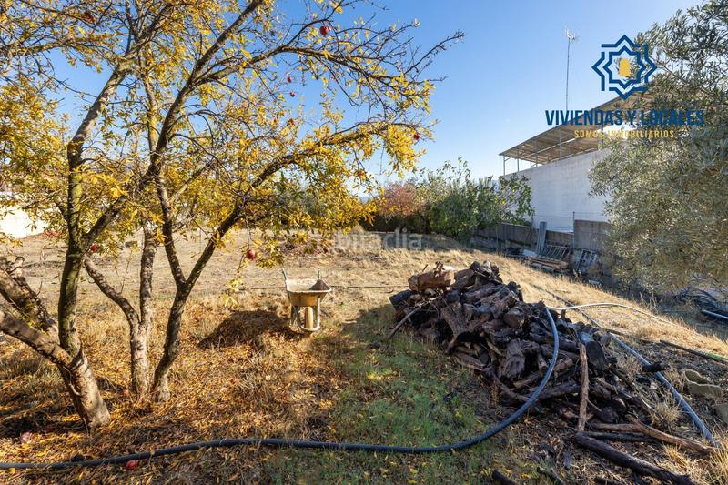 Foto 8da4dab9-49de-4ffa-bedf-badf73b34ec1. Terrain résidentiel dans San Francisco - El Chorrillo Gabias (Las)