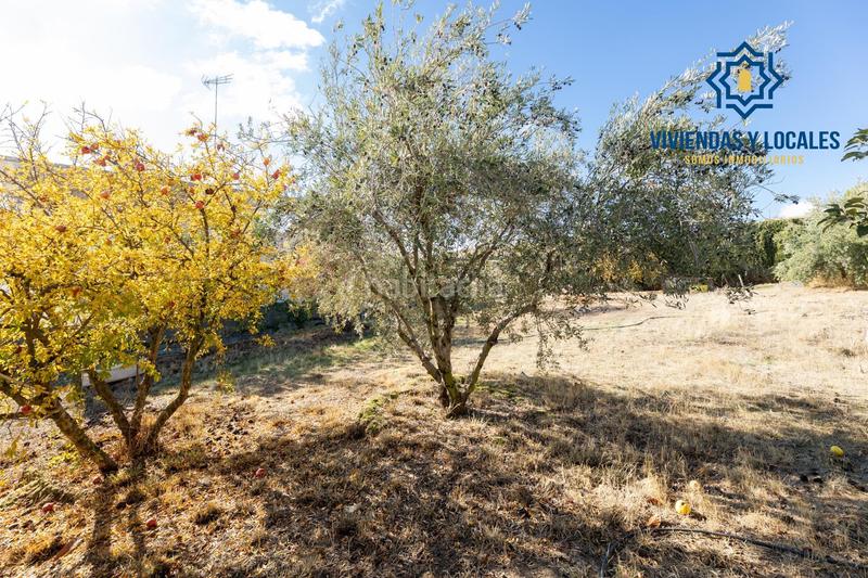 Foto 9cbbfdd7-e64e-4f2e-804a-f7ff832e2bea. Terrain résidentiel dans San Francisco - El Chorrillo Gabias (Las)