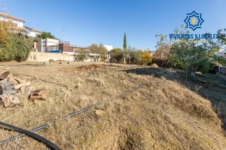 Terreny residencial a San Francisco - El Chorrillo