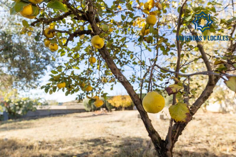 Foto f16bba71-88d4-465f-9153-142e02a185ba. Terrain résidentiel dans San Francisco - El Chorrillo Gabias (Las)