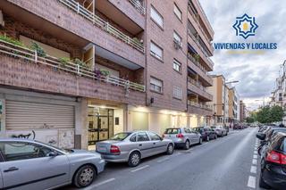 Flat  Mirlo 9. Piso en pajaritos