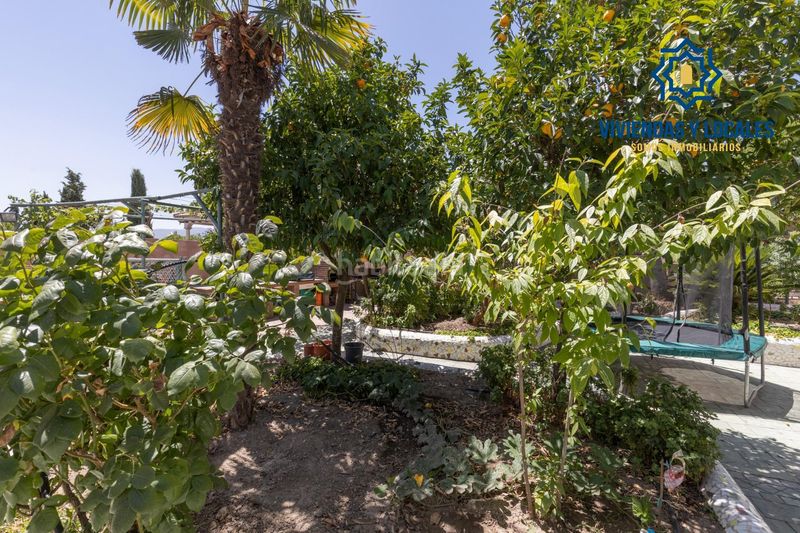 Foto 07d8304a-dd06-4823-8803-cd4711c6799e. Casa amb aparcament piscina a San Francisco - El Chorrillo Gabias (Las)