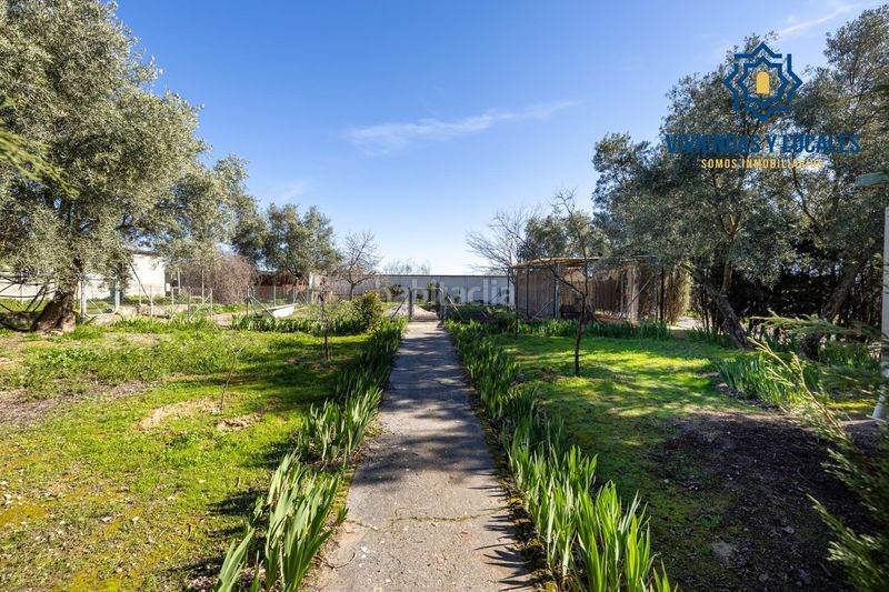 Foto 31728eb5-9cf9-42f5-8945-16d1b27f53b9. Xalet amb piscina a Atarfe