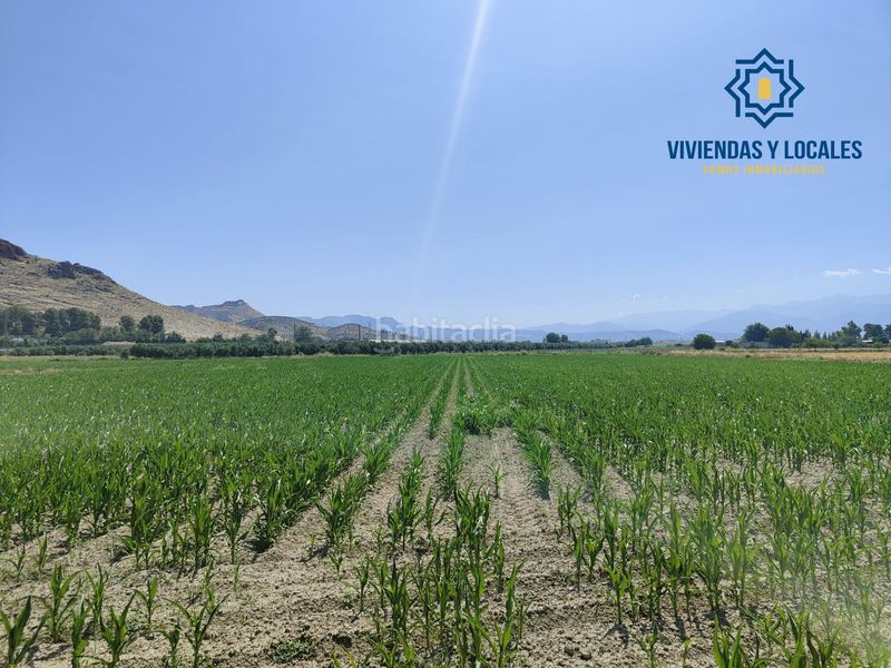 Foto 7ba71be7-da91-47a0-9829-cbd0ad94beb4. Finca rústica a carretera carretera de pinos puente a Atarfe