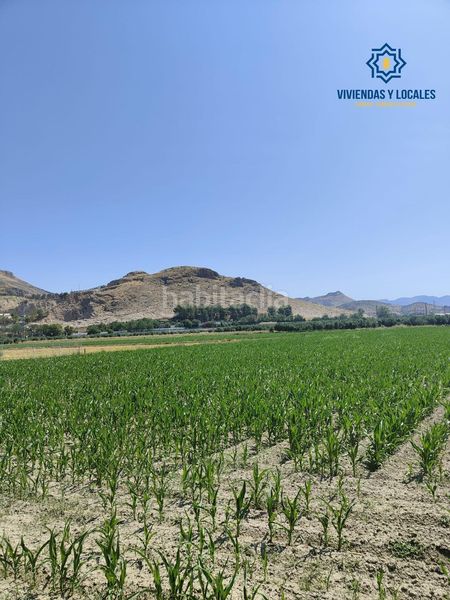 Foto aebdcdc6-69f9-4896-9ef2-aee2549ddee1. Finca rústica a carretera carretera de pinos puente a Atarfe