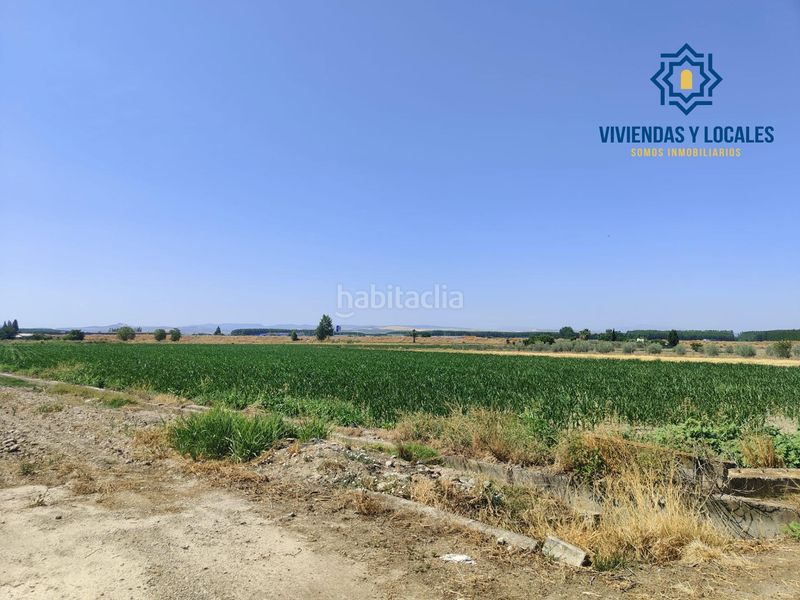 Foto e1d95d54-5b79-4425-8387-e832113ac513. Finca rústica a carretera carretera de pinos puente a Atarfe
