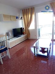 Lloguer Pis  Calle profesor francisco dalmau. Estupendo piso en alquiler en zona alcampo