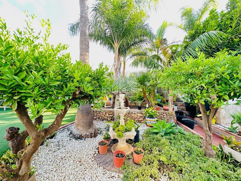 Foto bdbf0f2b-13a4-4cdd-a631-1014710c189f. Xalet amb piscina a Centro Nerja