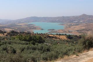 Finca rústica a Periana. Finca rústica de olivos  de 12.660 m2  en periana málaga.