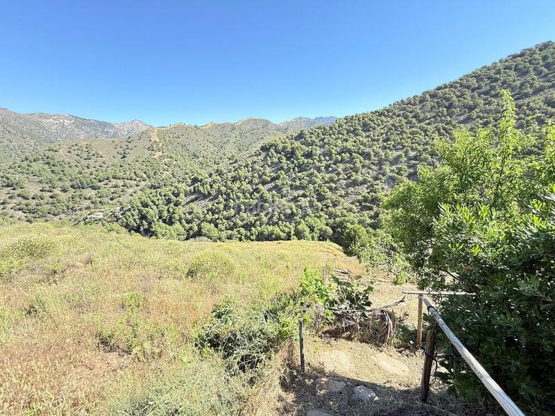 Foto 109d06b7-2db3-401a-b296-13c79d408093. Chalet espectacular villa de lujo con apartamento en frigiliana con vistas impresionantes, piscina y jacuzzi spa. en Cómpeta