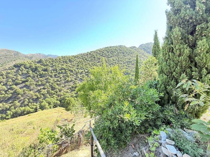 Foto b844142a-3d46-40b7-9fa6-b97cd06bd756. Chalet espectacular villa de lujo con apartamento en frigiliana con vistas impresionantes, piscina y jacuzzi spa. en Cómpeta