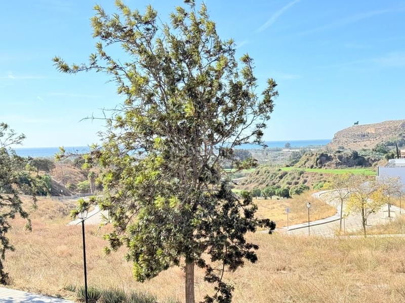 Foto 44911ceb-411a-405b-ae0d-c79621438b2a. Casa con riscaldamento piscina in Viña Málaga Torre del Mar