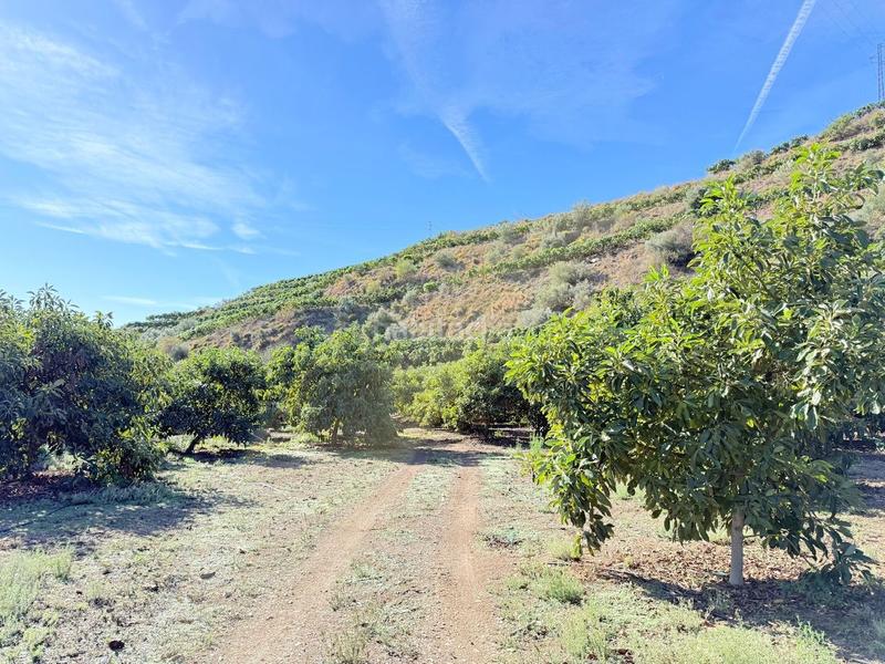 Foto 00107014-b939-49ba-a7e7-9c8a5798d0b4. Propriété dans Viña Málaga Torre del Mar