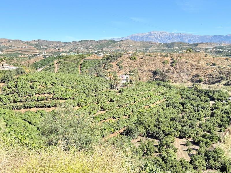 Foto 0910cbe5-2921-41bc-ab2a-f47ebbc9b0e3. Propriété dans Viña Málaga Torre del Mar