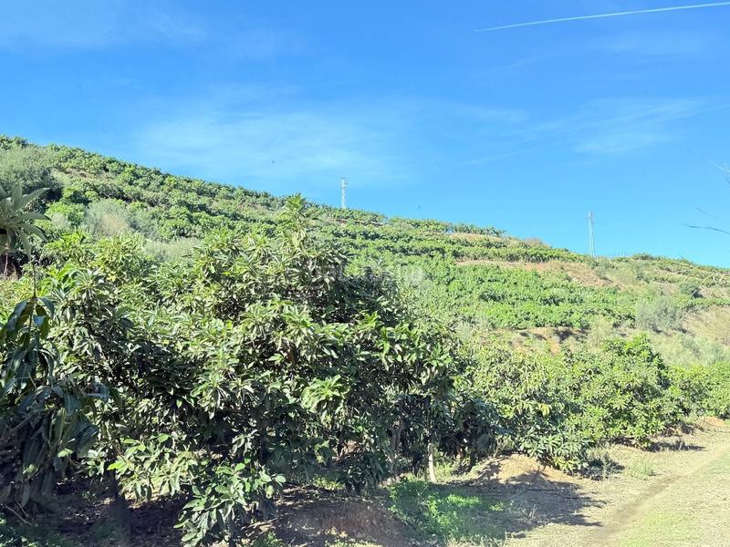 Foto 1ed0f8cd-80bc-47ea-aab7-62028e367557. Propriété dans Viña Málaga Torre del Mar