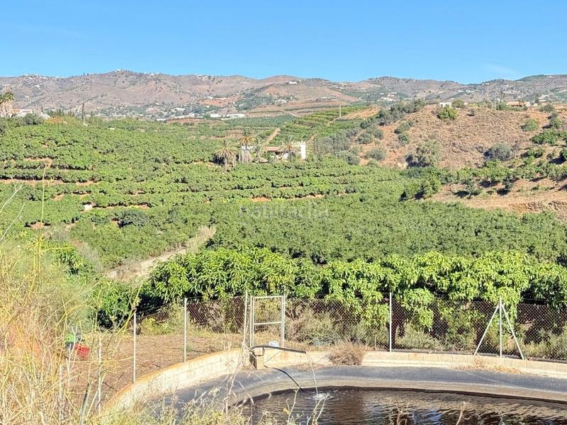 Foto 2e079c57-cfb1-4a88-ac60-06f979c6fccd. Propriété dans Viña Málaga Torre del Mar