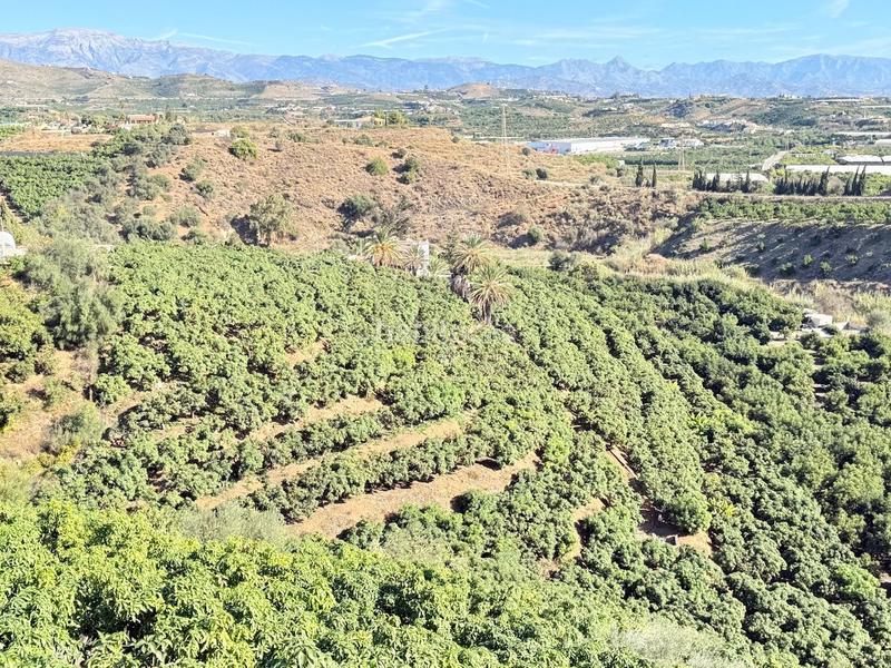 Foto 3699c745-6237-4037-b81c-bfbea0ca92a0. Propriété dans Viña Málaga Torre del Mar