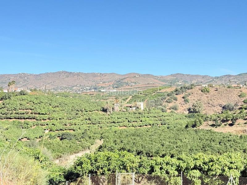 Foto 5733900c-2803-4089-bf7a-6a84268f03ba. Propriété dans Viña Málaga Torre del Mar