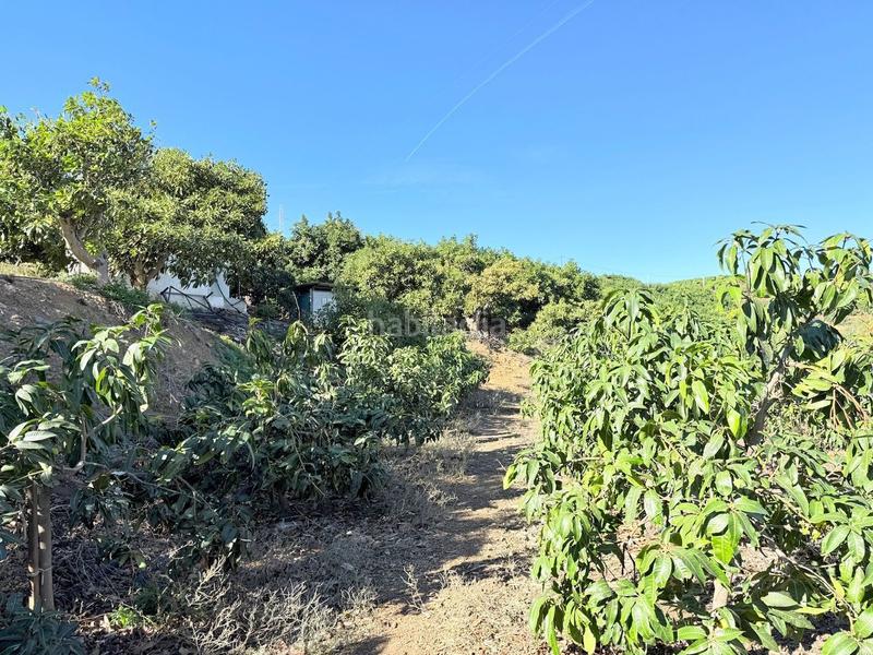 Foto 6c3c75e4-eaf4-42df-81c1-e5ec2446d3f6. Propriété dans Viña Málaga Torre del Mar