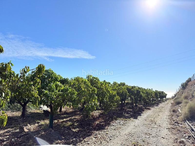 Foto 6d55ab65-4155-403f-a962-c3fdf422aff2. Propriété dans Viña Málaga Torre del Mar