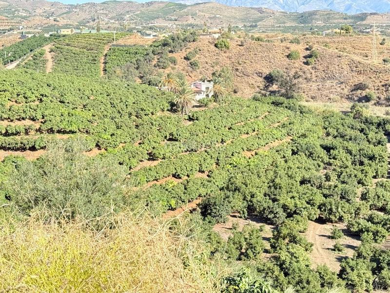 Foto 99bfddda-9f3a-4ca9-9b72-07cd5301df79. Propriété dans Viña Málaga Torre del Mar