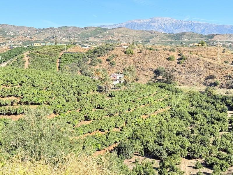 Foto a6970f76-7274-492b-a8f3-4e6eb0610179. Propriété dans Viña Málaga Torre del Mar