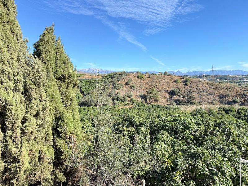 Foto c5f80122-e016-4f29-b7d0-9ae7ff52a27a. Propriété dans Viña Málaga Torre del Mar