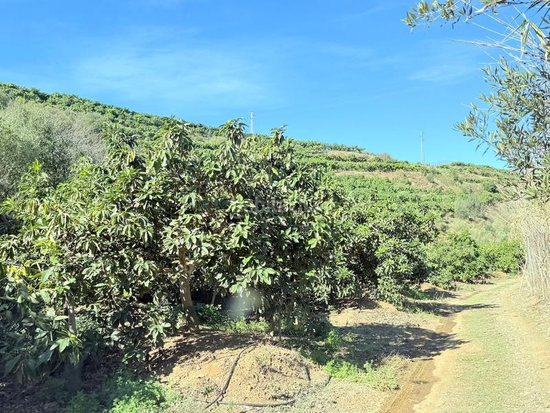 Foto d40fc442-eafc-4641-9b5e-2ebc9f835fba. Propriété dans Viña Málaga Torre del Mar