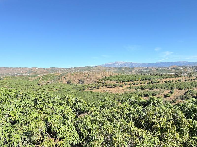 Foto d78b8160-680d-41c4-a4ad-3be40bf8b187. Propriété dans Viña Málaga Torre del Mar