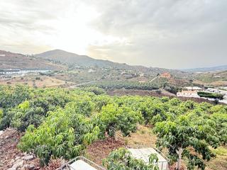 Haus in Viñuela. Chalet en la viñuela con aguacates y mangos en producción.