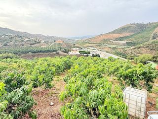 Maison à Viñuela. Chalet en la viñuela con aguacates y mangos en producción.