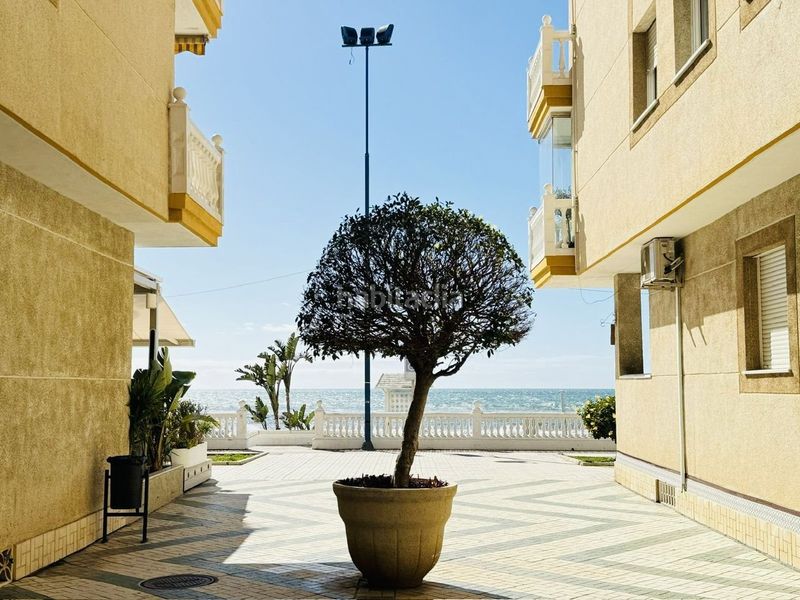 Foto 7ae9dc76-bfe4-4ea9-9960-8c88164528be. Pis a El Morche Torrox