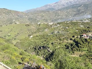 Landgut in Canillas de Albaida. Magnífica finca de 60.000 m situada en el término municipal de c