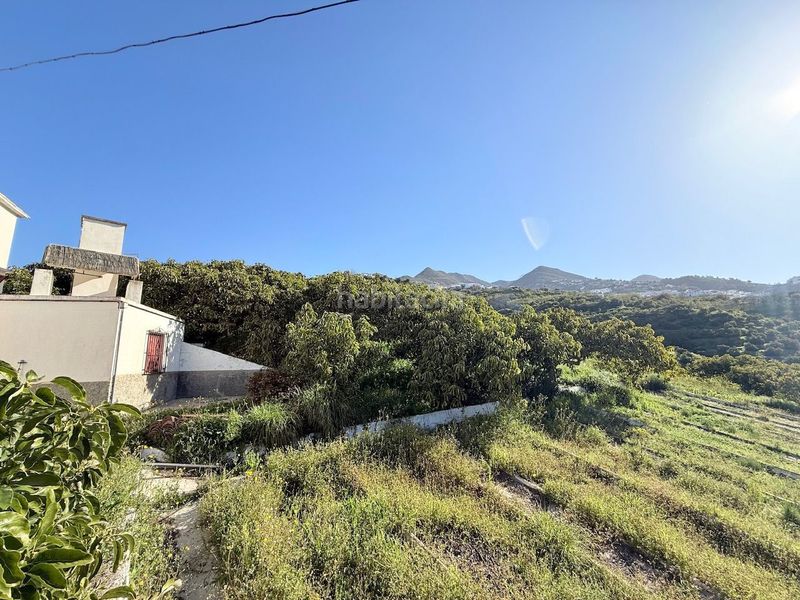 Foto a6b73922-2549-4383-b9f3-3947910c0567. Finca rústica a Canillas de Albaida