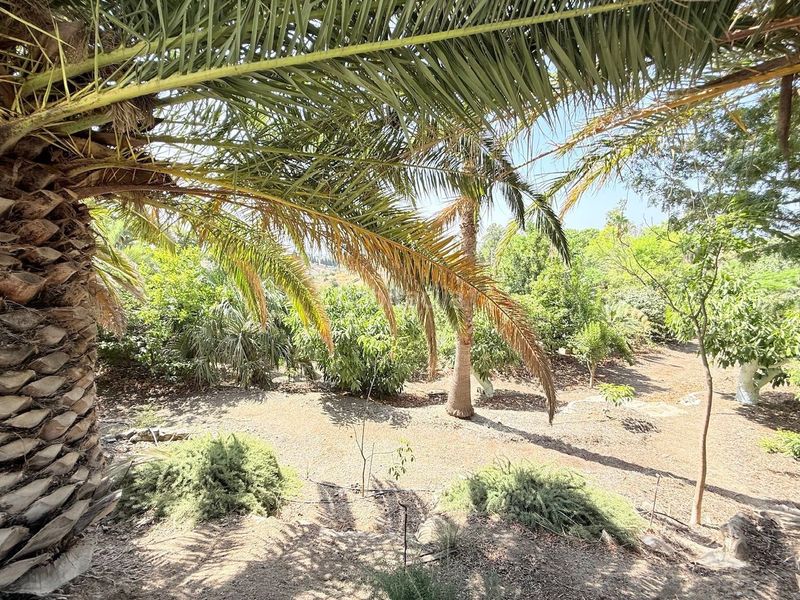 Foto 5a94d2cd-a9e5-4471-b656-7a8eaf8d8e40. Xalet amb calefacció piscina a Camino Algarrobo - Las Arenas Vélez - Málaga