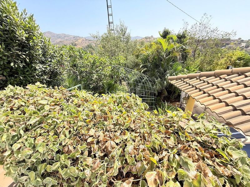Foto 7780b717-e5db-4a46-bd69-80c3850adc17. Xalet amb calefacció piscina a Camino Algarrobo - Las Arenas Vélez - Málaga