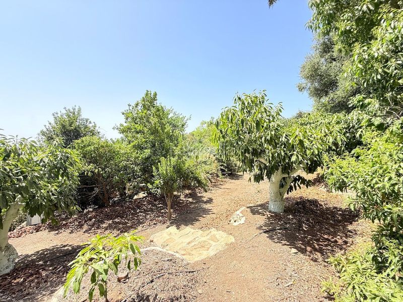 Foto 97331fa5-8046-4594-a88d-09b082e3d595. Xalet amb calefacció piscina a Camino Algarrobo - Las Arenas Vélez - Málaga