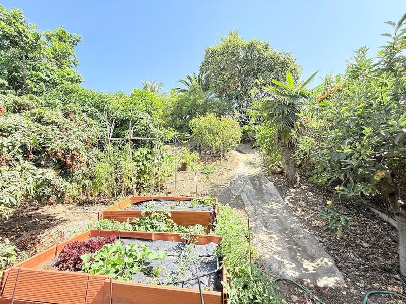 Foto d1257786-b725-420d-9db0-b1e7e1dc9eb7. Xalet amb calefacció piscina a Camino Algarrobo - Las Arenas Vélez - Málaga