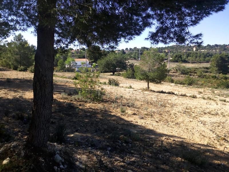 Foto 700891f2-7e32-4aba-a25e-ffc9ef66a2d9. Finca rústica terreno rustico secano turis vallado en Turís