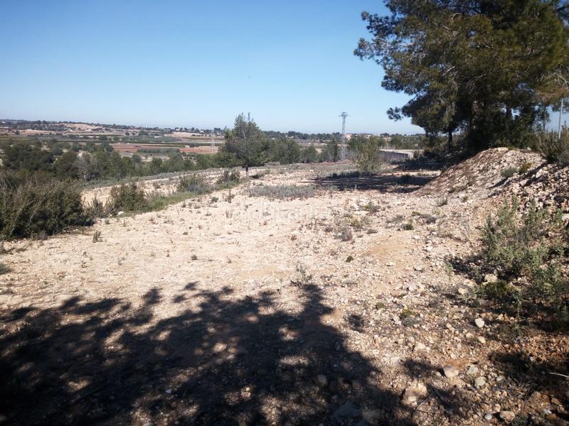 Foto 7c15fbe8-9820-4f41-93b0-421fd93aa6aa. Finca rústica terreno rustico secano turis vallado en Turís