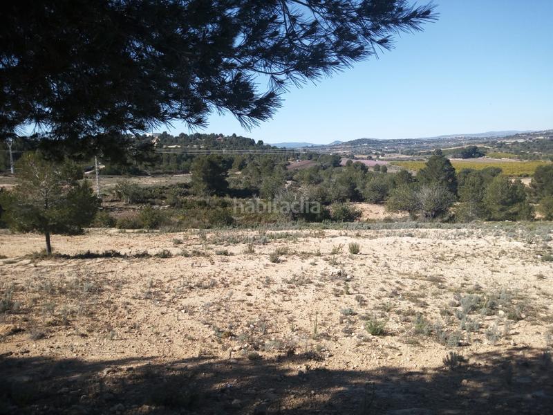 Foto 7eccbb10-b39e-49e5-ab54-9d3820939205. Finca rústica terreno rustico secano turis vallado en Turís