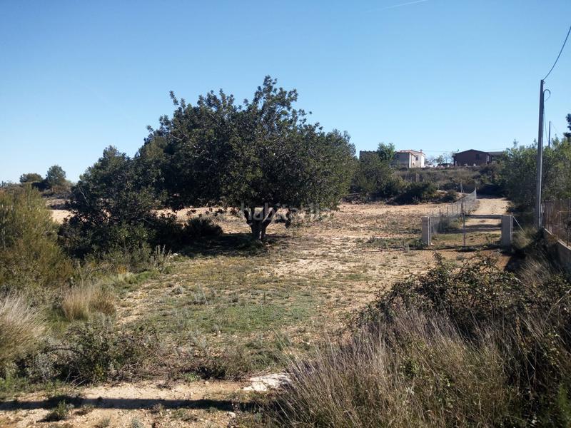 Foto b1c406ea-dd46-4301-9f21-8b9ba155c0b1. Finca rústica terreno rustico secano turis vallado en Turís