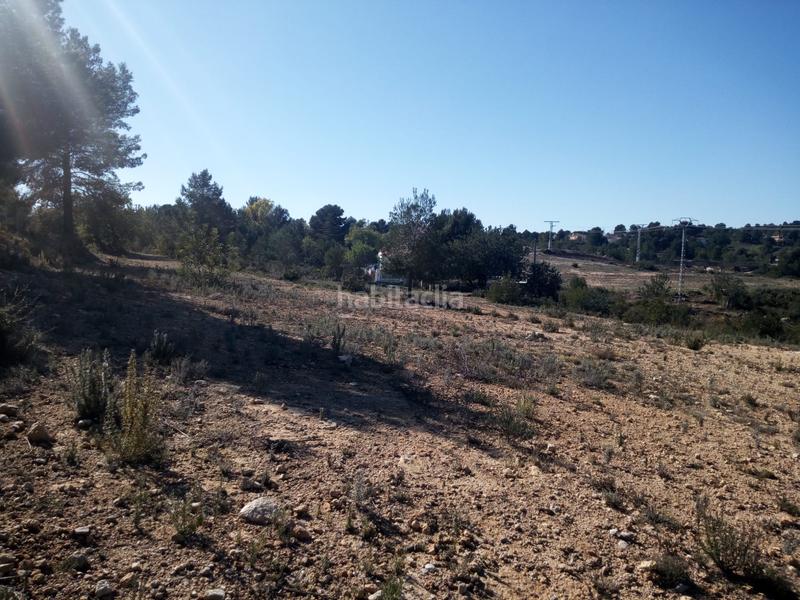 Foto c170264b-0b4a-41de-8afa-b90a6cf218bd. Finca rústica terreno rustico secano turis vallado en Turís