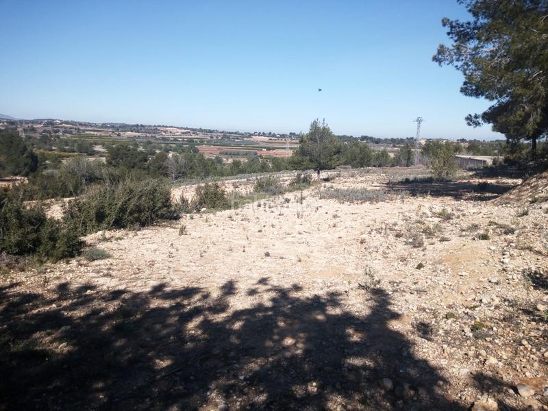 Foto c5e7d7e9-65fb-43b4-8cc7-aa91d6959f98. Finca rústica terreno rustico secano turis vallado en Turís