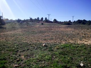 Finca rústica a Turís. Terreno rustico secano turis vallado
