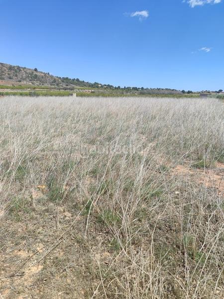 Foto 1250a013-5330-43ed-b8ed-6ef1384a7dfc. Propriété dans Turís