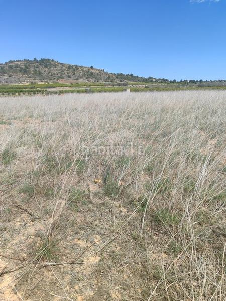 Foto 4f6b7f98-5e7b-4f16-a38e-4bd720b3d169. Propriété dans Turís